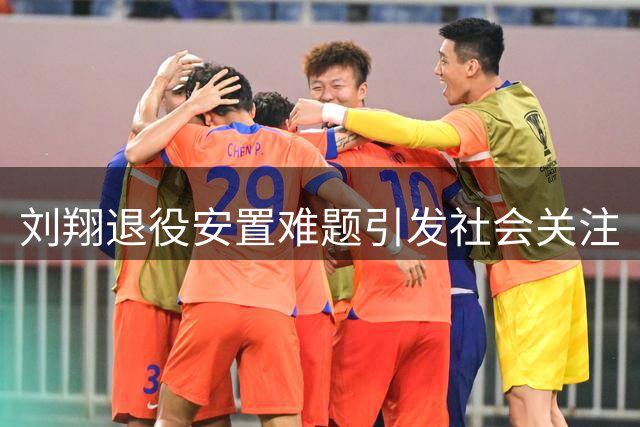 刘翔退役安置难题引发社会关注