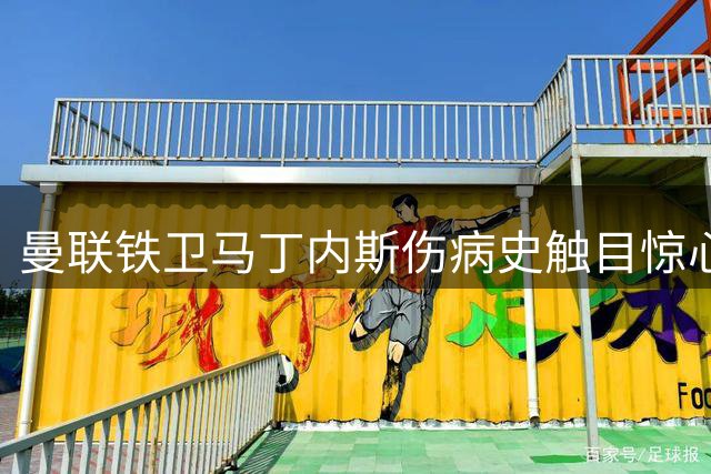 曼联铁卫马丁内斯伤病史触目惊心 世界杯决赛再添新伤引高层忧虑