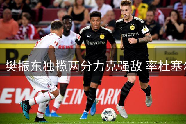 樊振东独揽两分力克强敌 率杜塞尔多夫战胜柯尼希斯霍芬