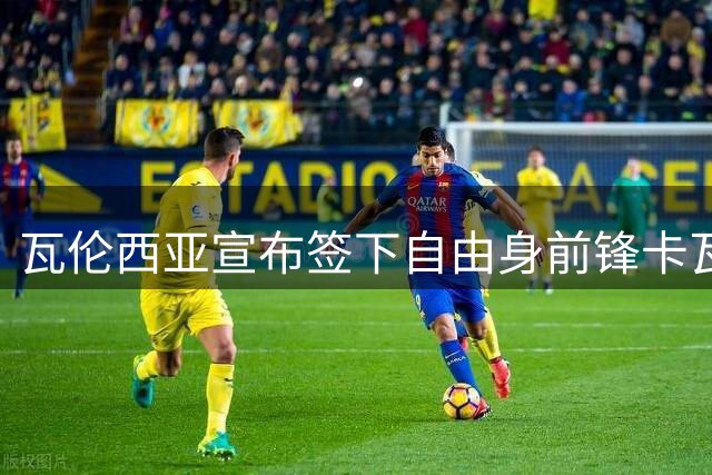 瓦伦西亚宣布签下自由身前锋卡瓦尼 合约期两年