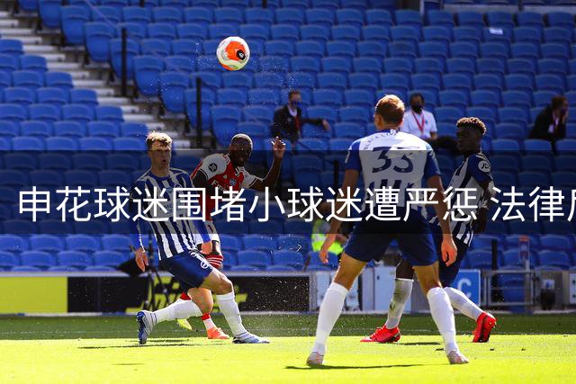 申花球迷围堵小球迷遭严惩 法律后果远超行政拘留