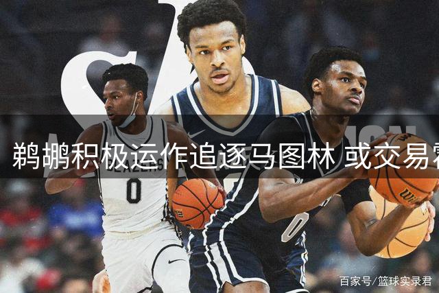 鹈鹕积极运作追逐马图林 或交易霍金斯腾薪资空间